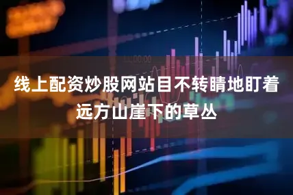 线上配资炒股网站目不转睛地盯着远方山崖下的草丛