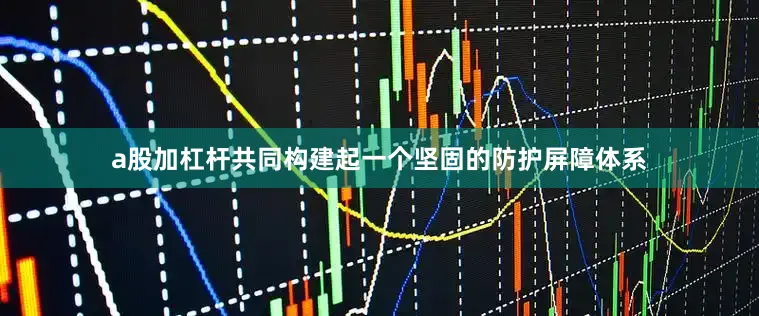 a股加杠杆共同构建起一个坚固的防护屏障体系